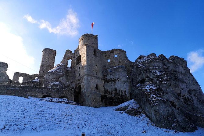 From Krakow: "The Witcher" Ogrodzieniec Castle Day Trip - Price per group: when $346 is good value