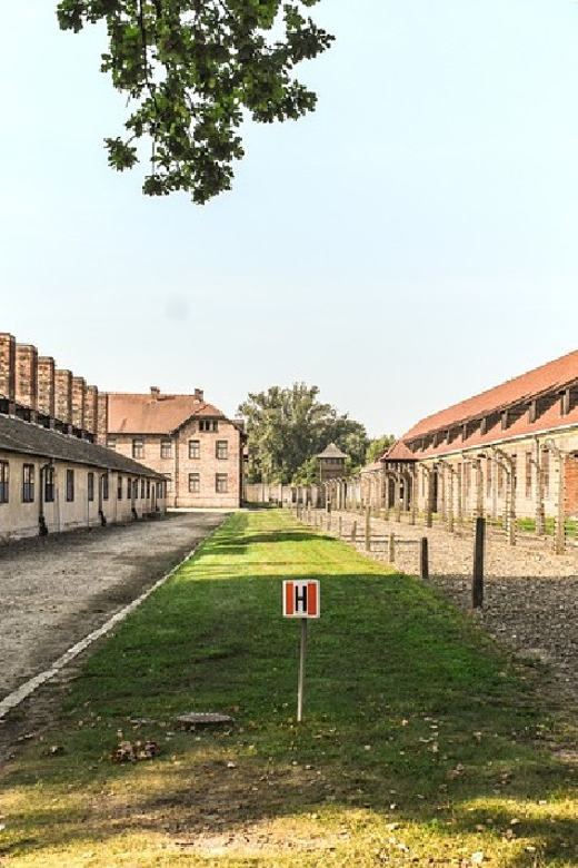 From Krakow: Wieliczka Salt Mine & Auschwitz Guided Trip - Price and value for doing Auschwitz plus Wieliczka in one go