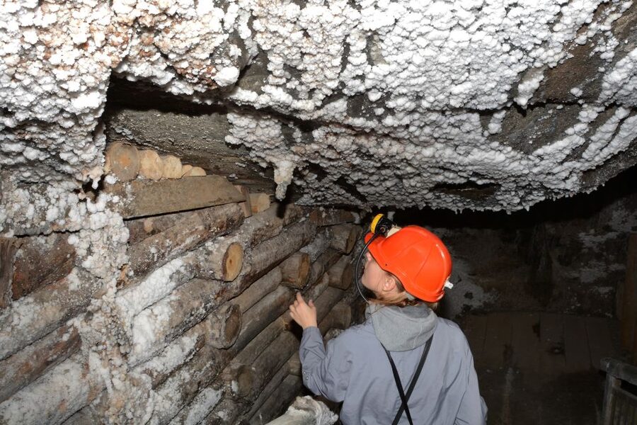 From Krakow: Wieliczka Salt Mine Half-Day Guided Tour - Who this half-day Wieliczka tour is best for