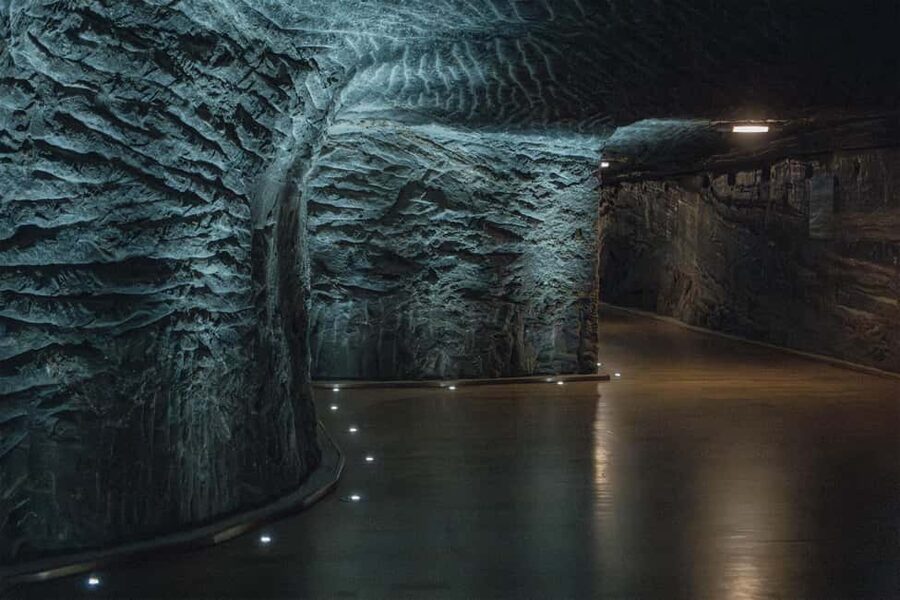 From Kraków: Wieliczka Salt Mine Tour & Fast-Track Ticket - The fast-track ticket and licensed guide, what you are really paying for