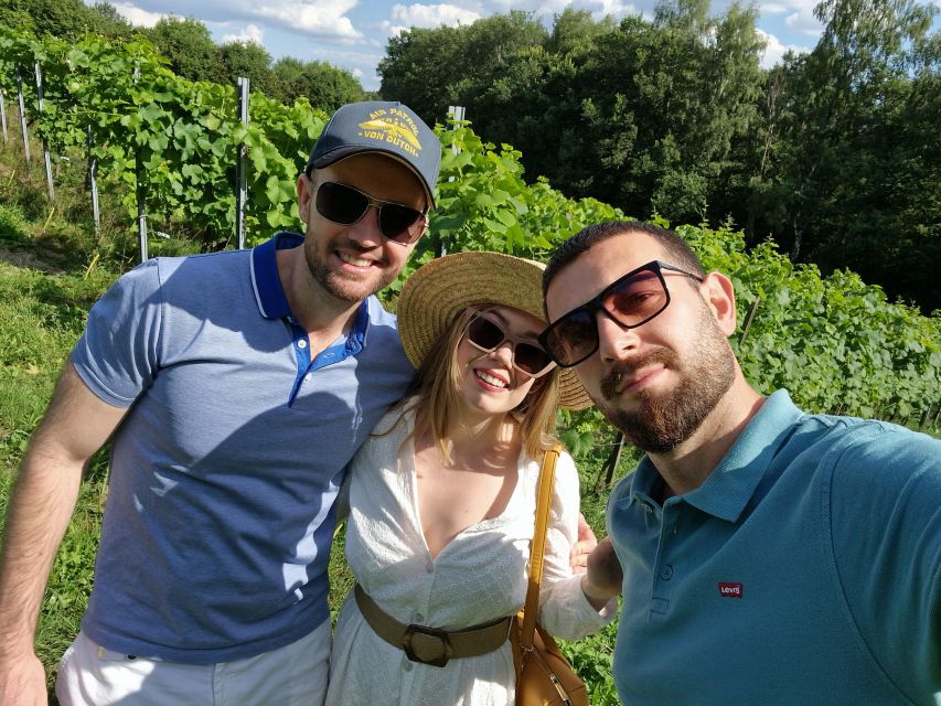 From Krakow: Wine Tasting at Vineyard - Key highlights to know before you go