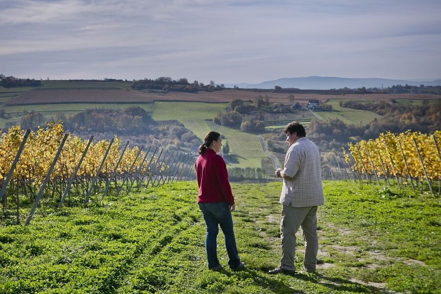 From Krakow: Wine Tasting at Vineyard - What to wear and bring for the vineyard walk