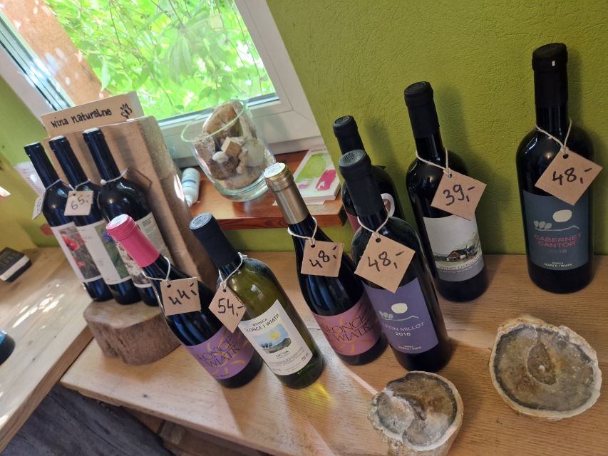 From Krakow: Wine Tasting at Vineyard - From Krakow to the vineyard: the short trip that makes this work