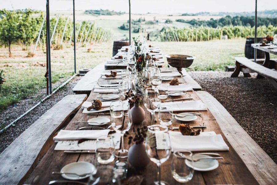 From Krakow: Wine Tasting at Vineyard - Price and value: is $224 per person worth it?