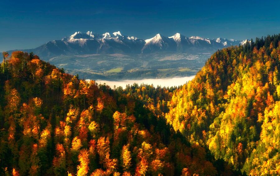 From Kraków: Witów Skiing and Zakopane Tour - Packing tips for colder-than-Krakow conditions