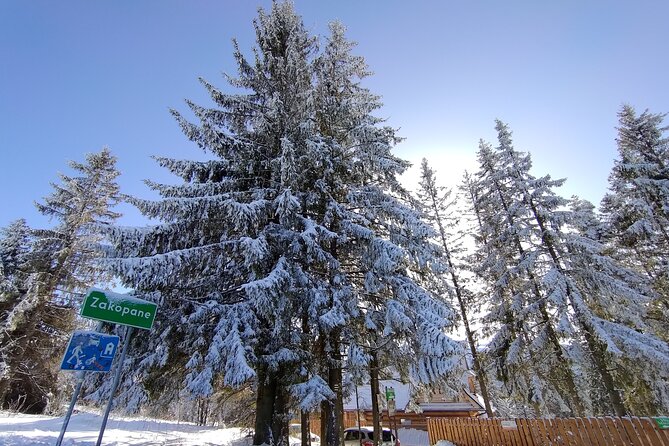 From Krakow: Zakopane & Chocholowskie Thermal Baths - A Private Mountain Day From Krakow: How the Flow Really Feels