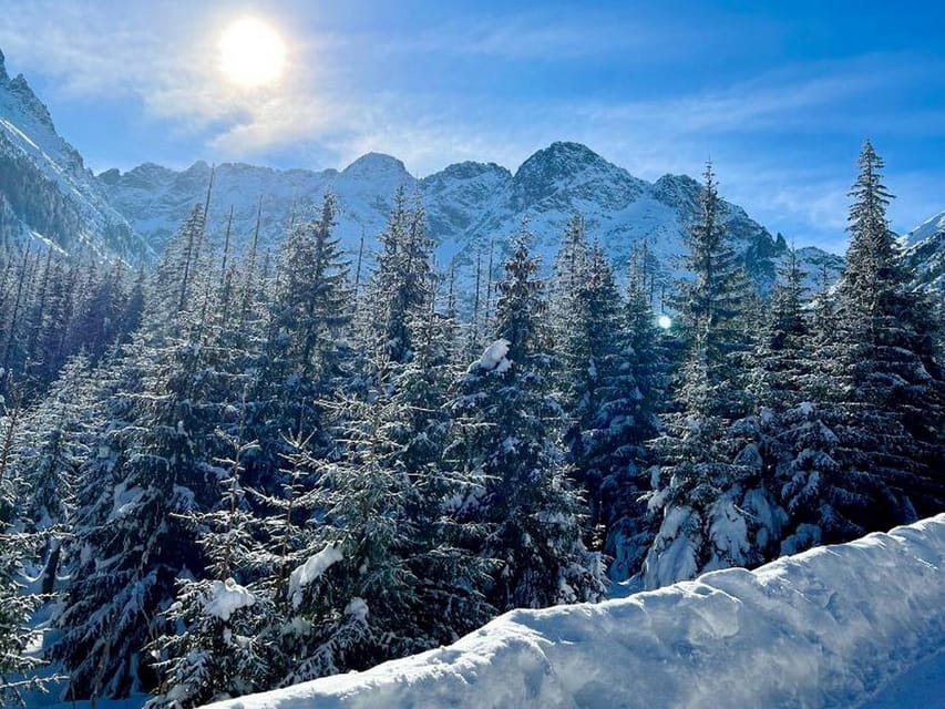 From Krakow: Zakopane Day Trip with Funicular & Food Tasting - Cheese and drink tasting: more than a snack break