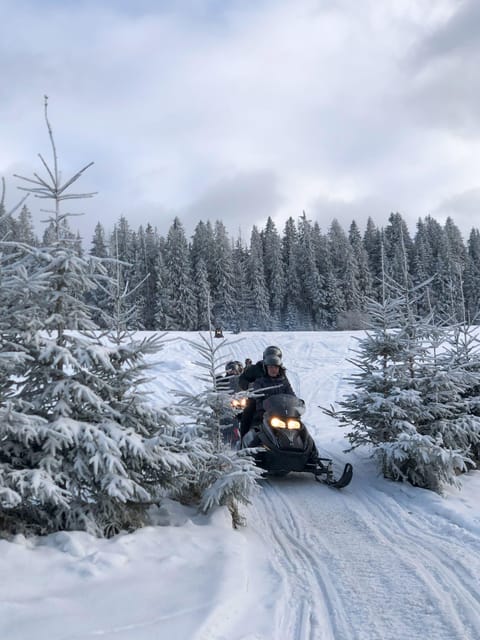 From Krakow: Zakopane Snowmobile NIGHT Ride, Bonfire, - Should you book the Krakow to Zakopane snowmobile night ride?