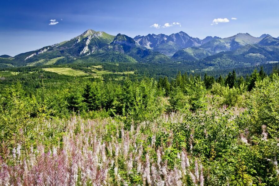From Krakow: Zakopane Tatra Mountains & Hot Springs Tour - Key points before you go