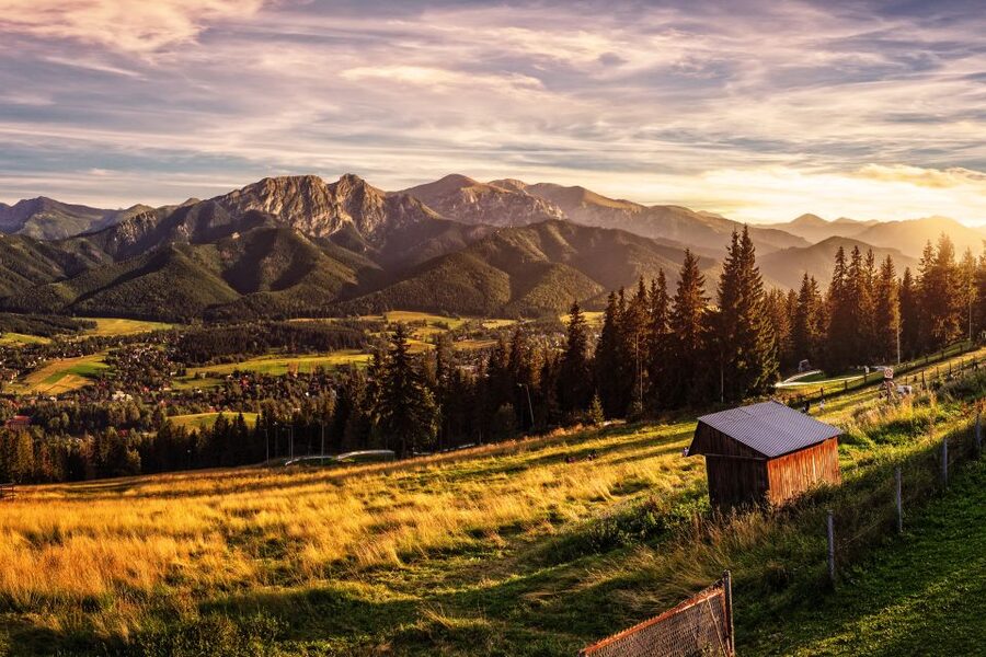 From Krakow: Zakopane Tatra Mountains & Hot Springs Tour - Krupówki main street, souvenirs, and the real Zakopane vibe
