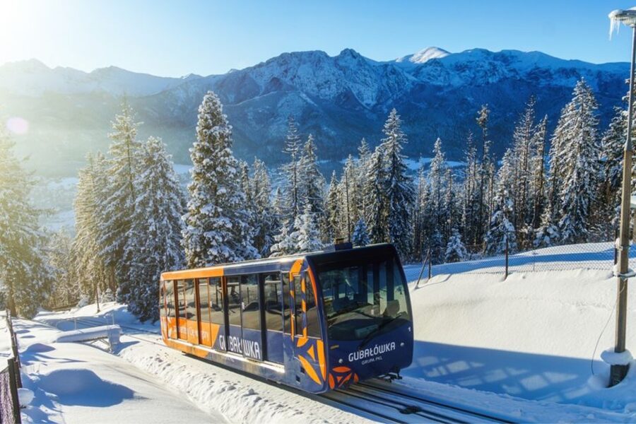 From Krakow: Zakopane, Tatra Mountains & Thermal Baths Tour - Folk sculpture studio: local art you can see up close