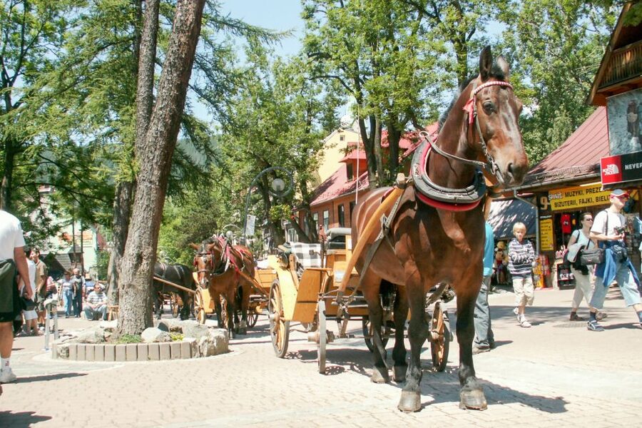 From Krakow: Zakopane & Tatra Mountains Tour - Highlander cheese tasting: Food that teaches without a lecture