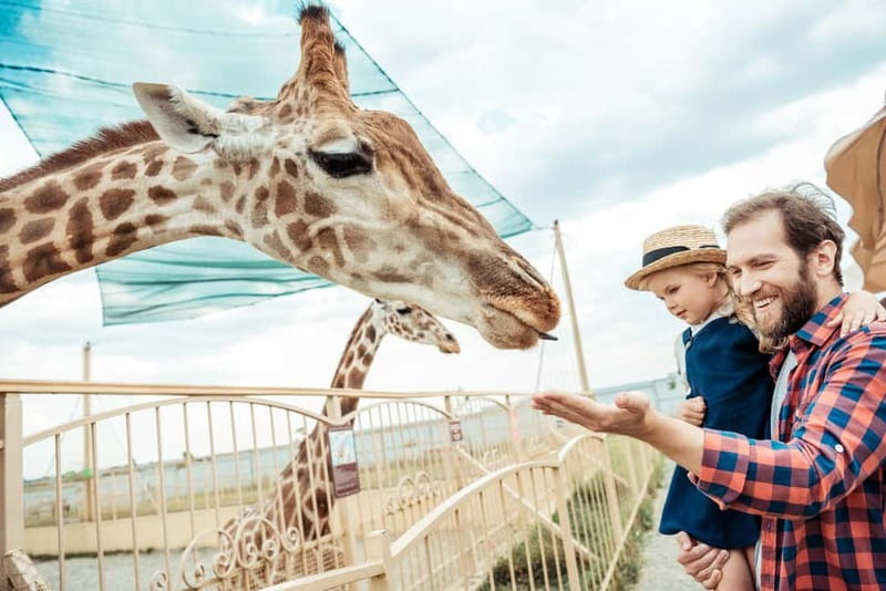 From Krakow: Zoo Trip with Private Luxury Transfer - Krakow Zoo in Wolski Forest: why the setting matters
