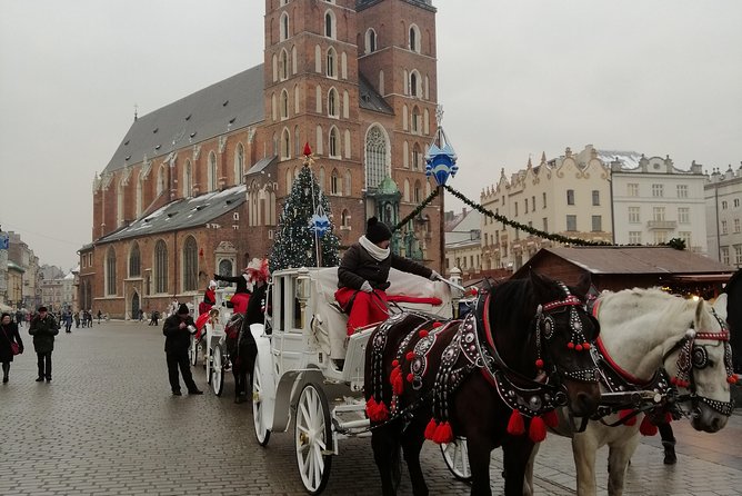 From Warsaw Auschwitz and Krakow one day tour by train with pick up and drop off - Transfers, train timing, and the long-day reality