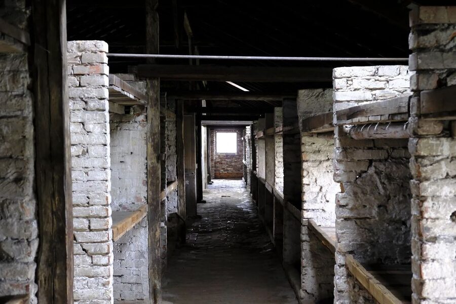From Warsaw: Auschwitz-Birkenau Guided Tour with Fast Train - The Human Side of Planning for a Heavy Day
