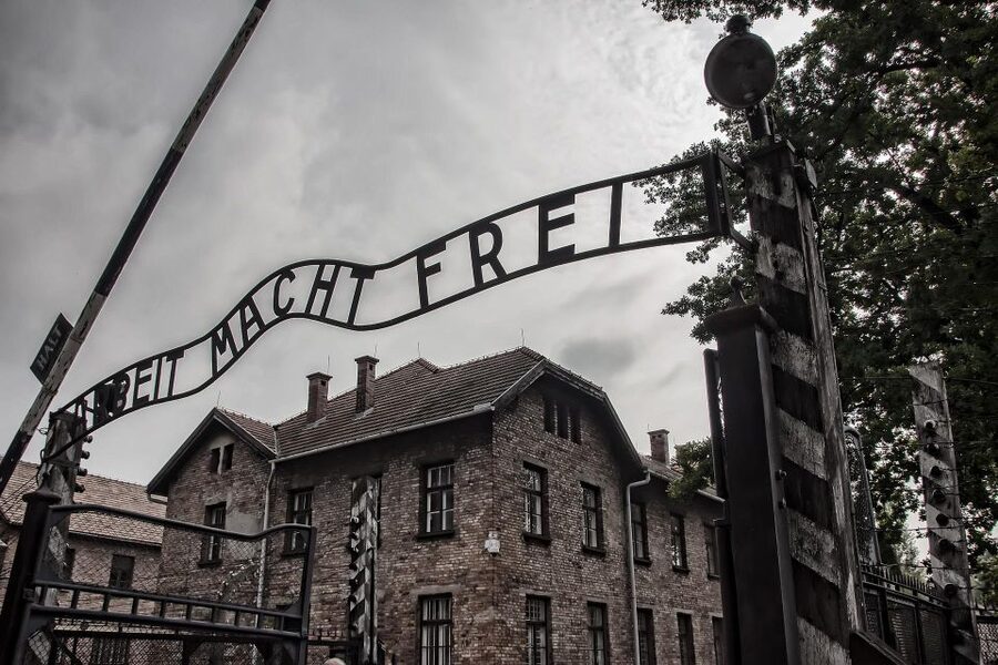From Warsaw: Auschwitz-Birkenau Guided Tour with Fast Train - Auschwitz II-Birkenau, Roads, Fences, and the Outdoor Reality