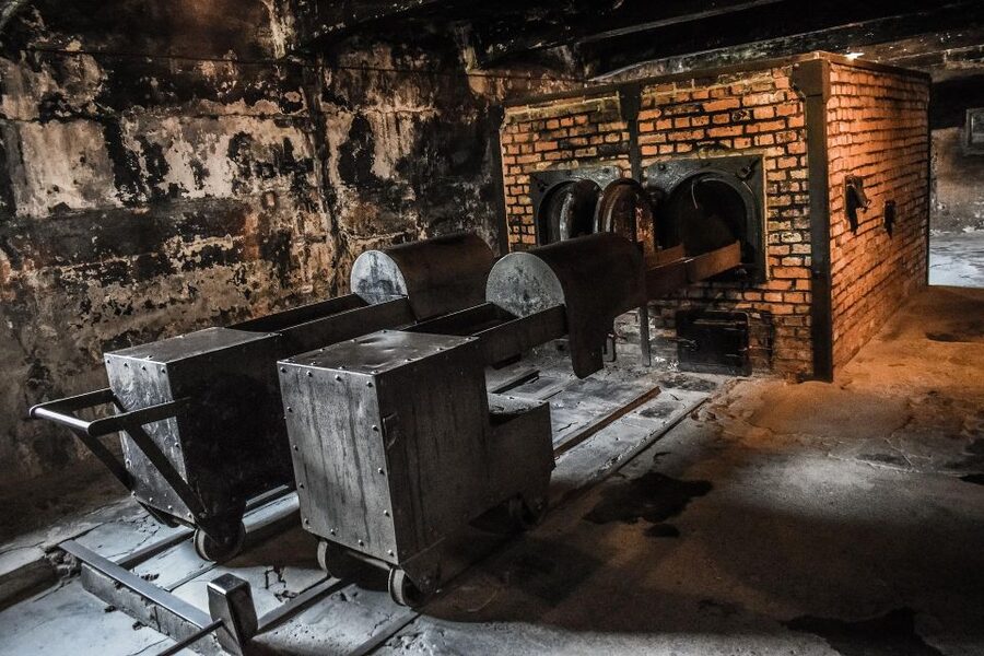 From Warsaw: Auschwitz-Birkenau Guided Tour with Fast Train - Timing, Pace, and Group Energy During the Walks