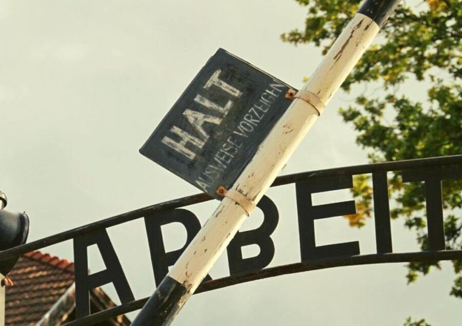 From Warsaw: Auschwitz-Birkenau Small Group Tour with Lunch - Key Points Before You Go