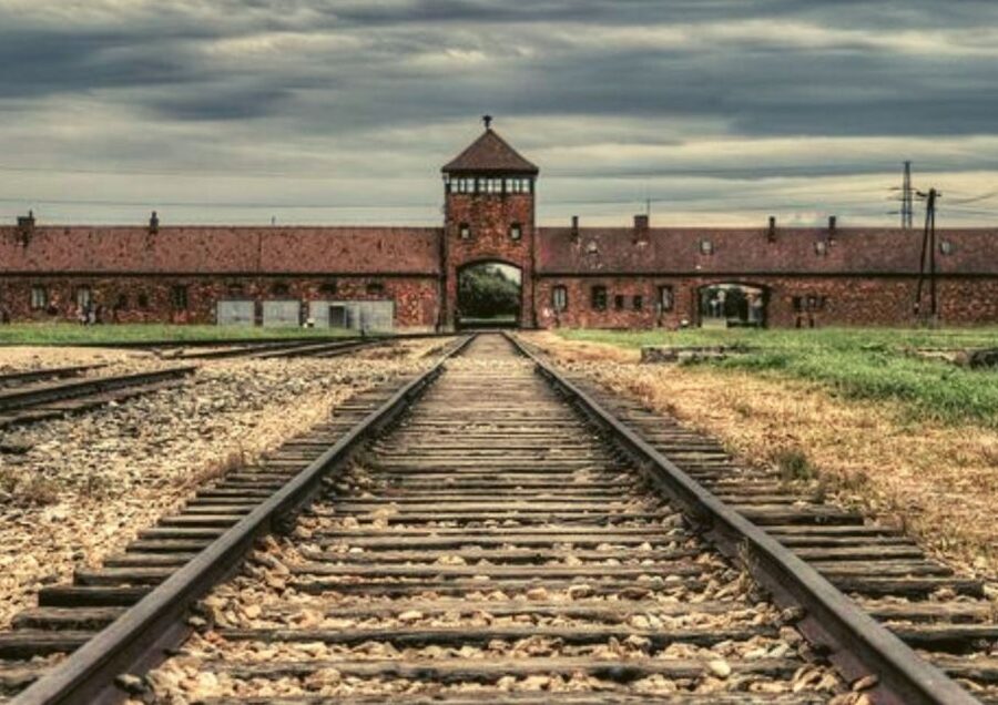 From Warsaw: Auschwitz-Birkenau Small Group Tour with Lunch - Who This Tour Suits Best