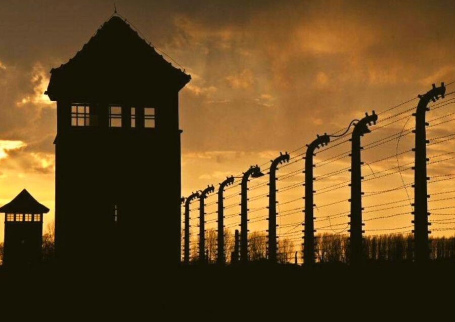From Warsaw: Auschwitz-Birkenau Small Group Tour with Lunch - What the Included Lunch Actually Means for Your Day