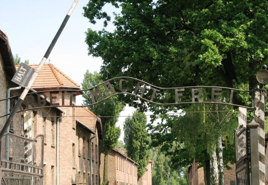 From Warsaw: Auschwitz-Birkenau Small Group Tour with Lunch - Small Group of Up to 8: The Hidden Comfort Advantage