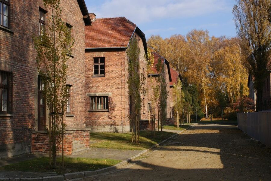 From Warsaw: Auschwitz-Birkenau Small Group Tour with Lunch - Price and Value: Does $350 Make Sense?