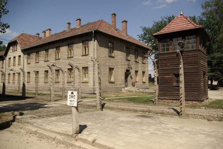 From Warsaw: Auschwitz-Birkenau Small Group Tour with Lunch - Practical Tips for a Serious Day (So You Can Focus)