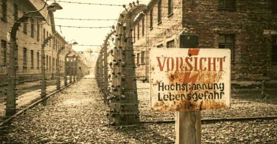 From Warsaw: Auschwitz-Birkenau Small Group Tour with Lunch - Entering Auschwitz and Birkenau: What the 3.5-Hour Guided Tour Is Designed to Cover