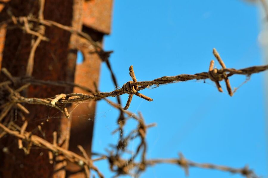 From Warsaw: Auschwitz-Birkenau Tour by Car - Group size, English support, and hearing the guide without stress