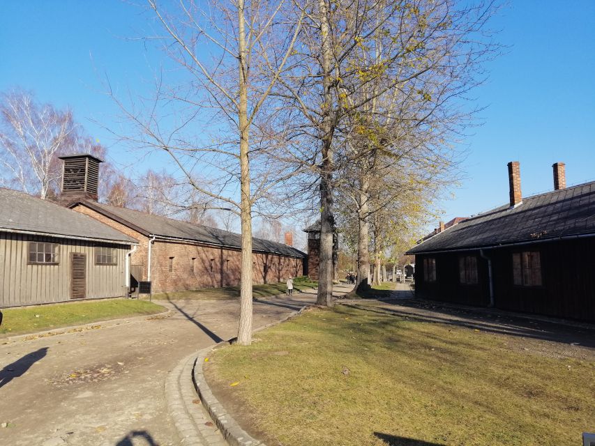 From Warsaw: Auschwitz-Birkenau Tour by Car - Lunch time, breaks, and how to protect your energy