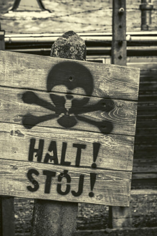 From Warsaw: Auschwitz Day Tour by Private Car with Lunch - Should You Book This Tour?