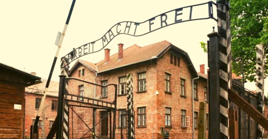 From Warsaw: Auschwitz Day Tour by Private Car with Lunch - Birkenau and the Camp Layout You Have to See