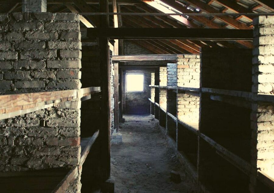 From Warsaw: Auschwitz Day Tour by Private Car with Lunch - Who This Warsaw to Auschwitz Tour Is Best For