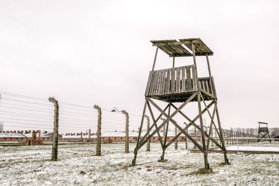 From Warsaw: Guided Tour to Auschwitz-Birkenau and Krakow - Who should book this, and who should choose a different plan