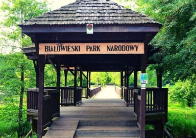 Small-Group Tour to Bialowieza National Park