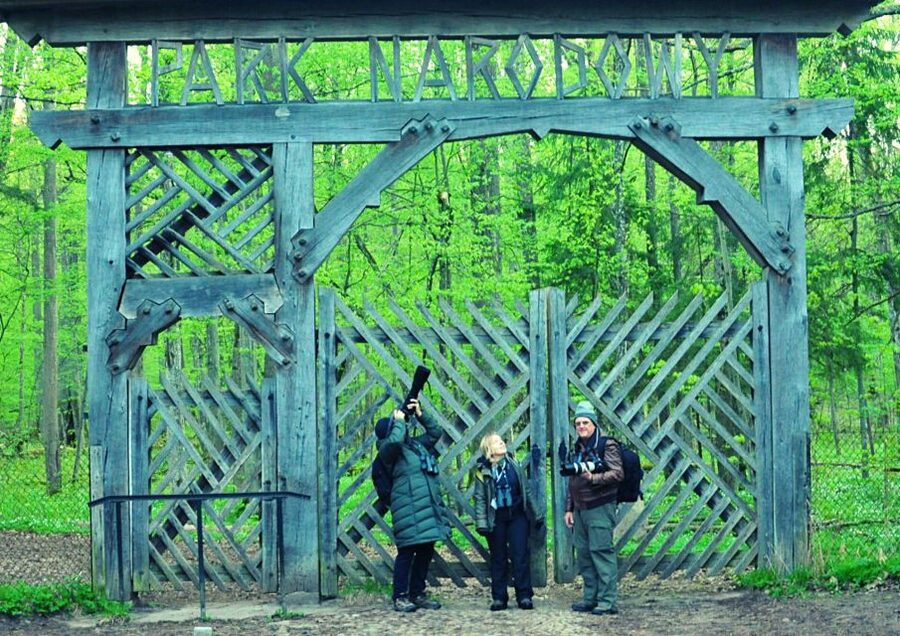From Warsaw: Small-Group Tour to Bialowieza National Park - Price and value: what $399 really covers