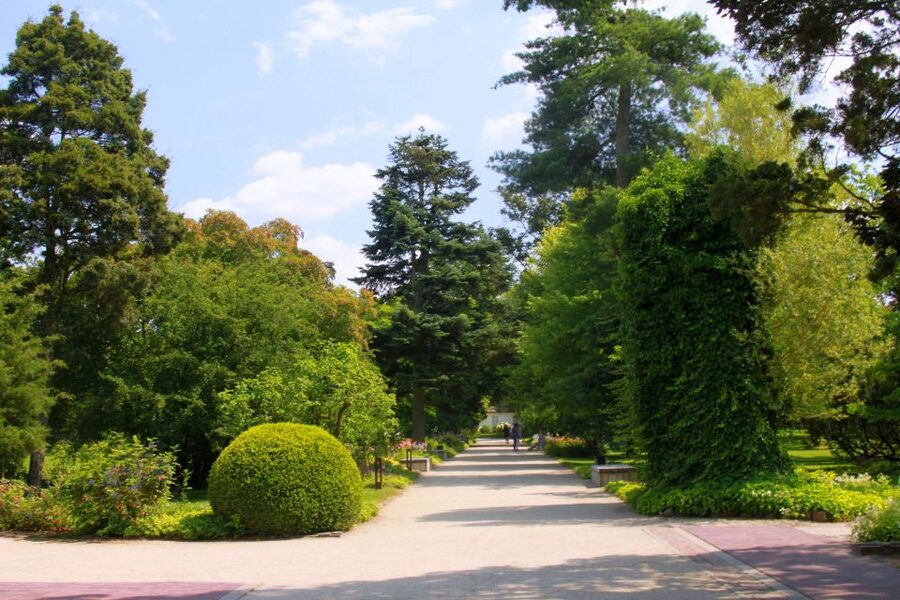 From Warsaw: Tour to Chopin's Birthplace - Żelazowa Wola - Brochów and the Church of Saint John the Baptist on the Bzura