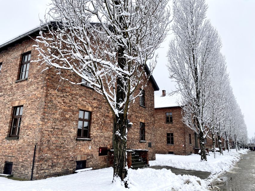 From Wrocław: Full-Day Auschwitz-Birkenau Guided Tour - Auschwitz I: Former Camp Life, Exhibits, and the Places You Will Remember