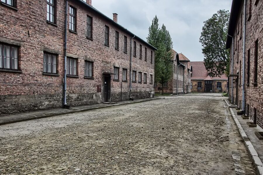 From Wrocław: Full-Day Auschwitz-Birkenau Guided Tour - Price and Value: What $293 Buys You (and What It Saves)