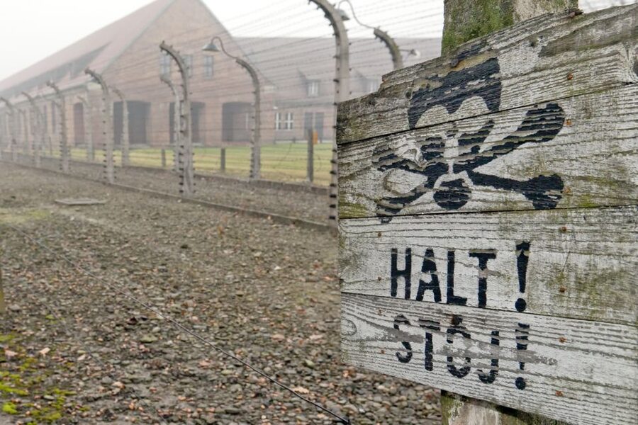 From Wrocław: Full-Day Auschwitz-Birkenau Guided Tour - Who This Tour Is Best For (and Who Might Want Another Plan)