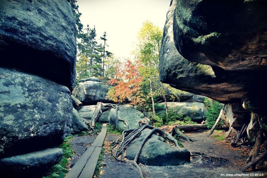 From Wroclaw: Full-Day Stolowe Mountains Trekking Tour - Karlow Village Ascent, What Your Legs Will Tell You