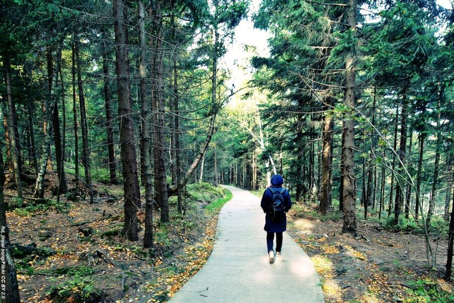 From Wroclaw: Full-Day Stolowe Mountains Trekking Tour - Kudowa Zdroj Spa Park, Health Spring Water Tasting