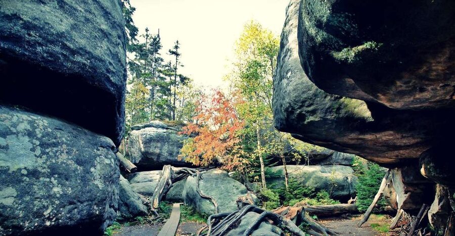 From Wroclaw: Full-Day Stolowe Mountains Trekking Tour - From Wroclaw to Stolowe Mountains National Park, Then Back Again