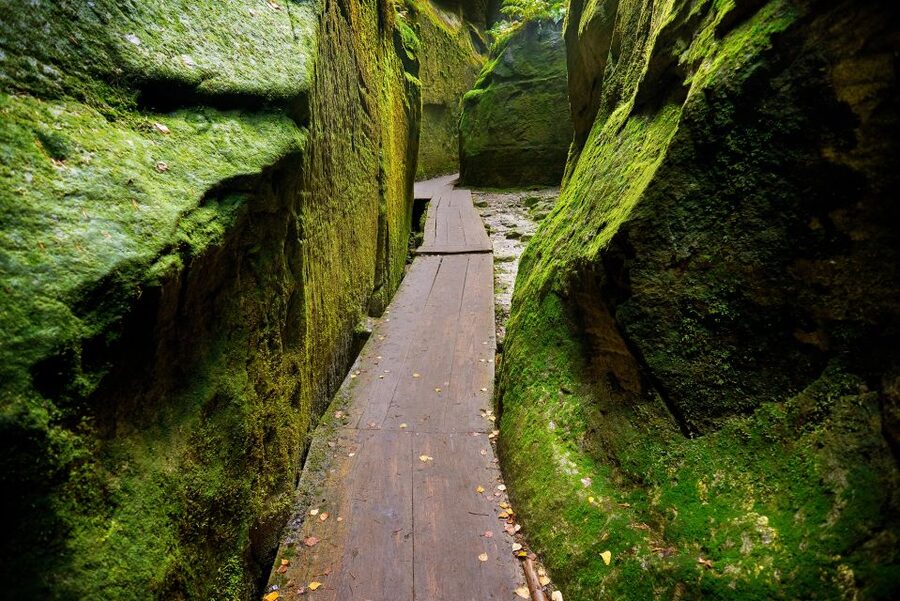 From Wroclaw: Hiking Trail in Rock City Adrspach - Choosing the higher climb for panoramic views