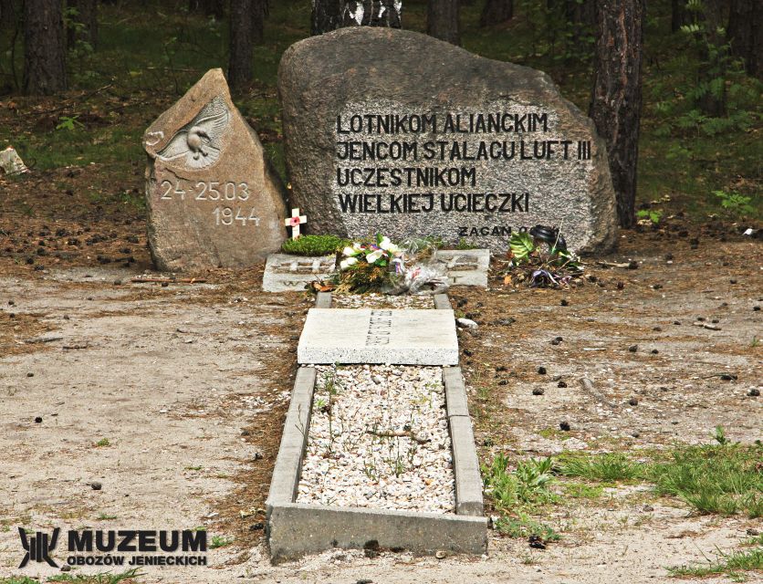 From Wrocław: Stalag Luft 3 Great Escape Tour - Walking in the pine woods: why the setting is part of the lesson