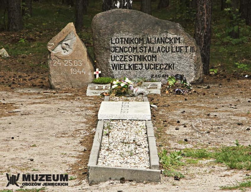 From Wrocław: Stalag Luft 3 Great Escape Tour - Price and value: is $279 per person worth it?