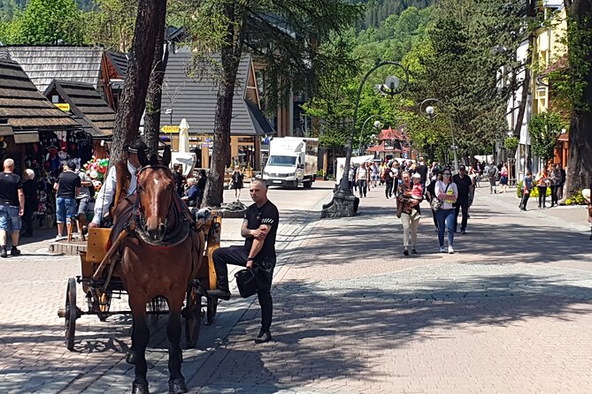 Full-Day Dunajec Rafting and Zakopane Tour from Krakow - English, guides, and communication realities