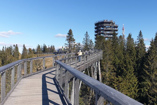 Full-Day Private Tour of Slovakia Treetop Walk and Zakopane - Private Door-to-Door Transport from Krakow (And Why It Matters)