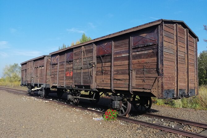 Full-Day Tour From Warsaw to Auschwitz (guided) and Krakow by car - Should you book this Warsaw to Auschwitz and Krakow day trip?