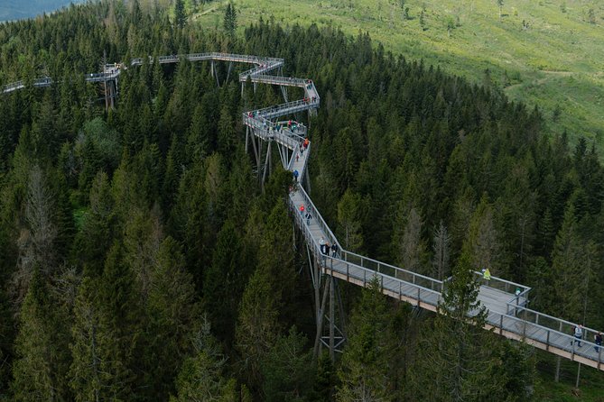 Full-Day Tour of Zakopane and Sky Walk Heart of Poronin - The driver-only format: helpful logistics, not a lecture
